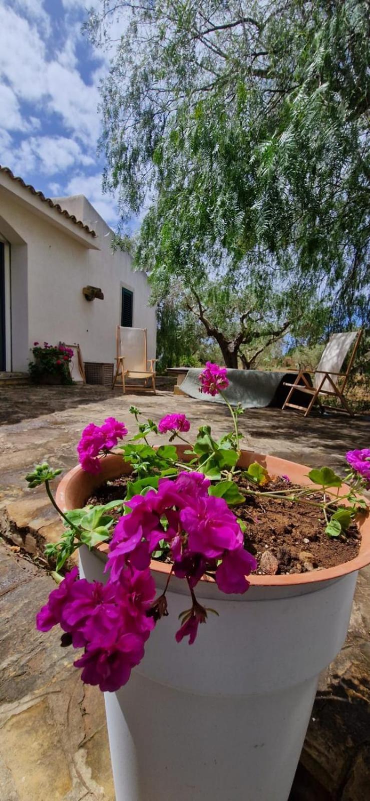 فيلا Casa Ibiscus مارسالا المظهر الخارجي الصورة
